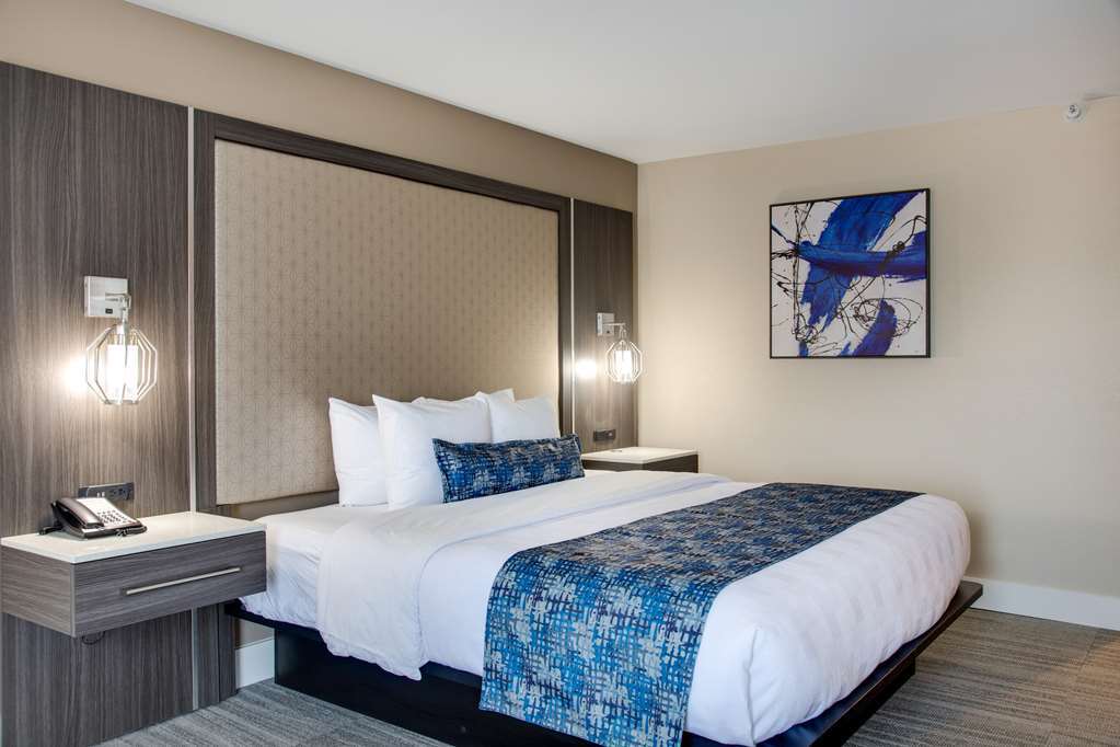 Best Western Plus Greenville I-385 Inn & Suites Ruang foto
