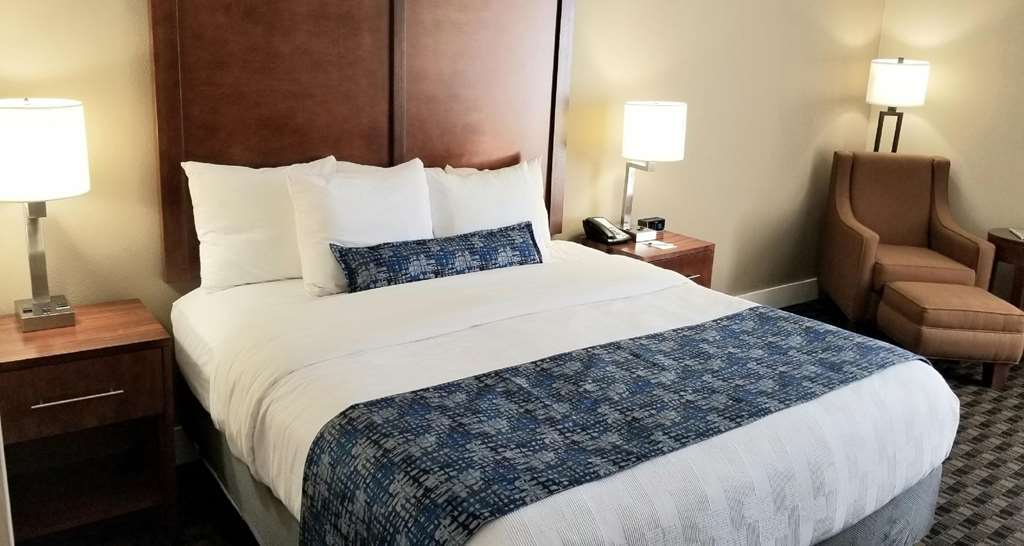 Best Western Plus Greenville I-385 Inn & Suites Ruang foto